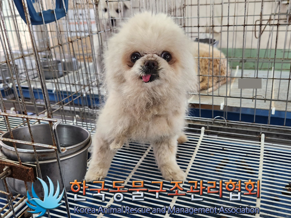 한국동물구조관리협회_441406202300476
